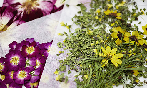 押し花絵とはのイメージ